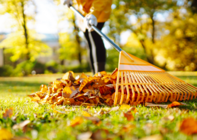 11 things to do this fall to keep your home in tip-top shape