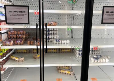 Egg supply ‘strained’ by bird flu as shortage frustrates Americans at grocery stores